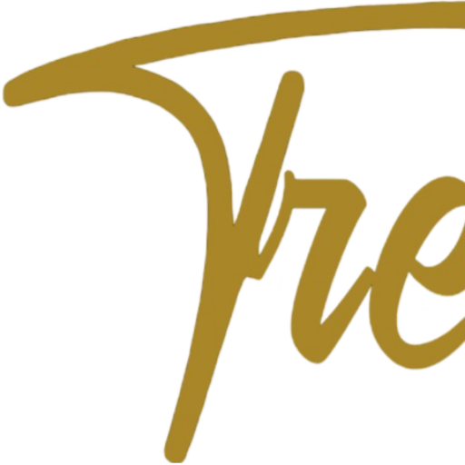 Treasuris Group Logo